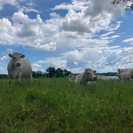 Gite A La Campagne Au Bord D'Un Lac 8 Personnes Saint-Quentin-sur-Charente المظهر الخارجي الصورة