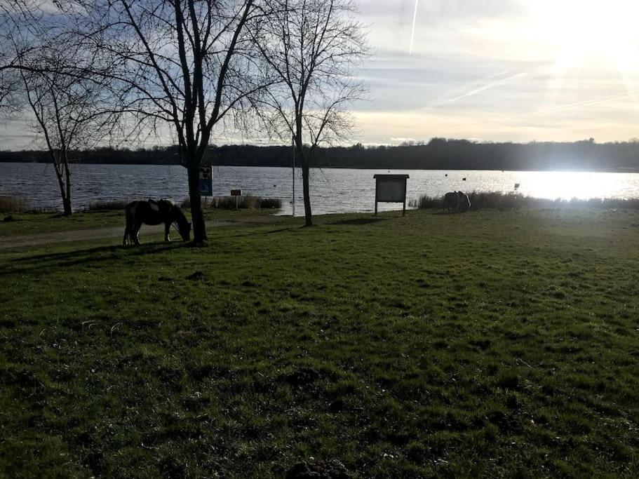 Gite A La Campagne Au Bord D'Un Lac 8 Personnes Saint-Quentin-sur-Charente المظهر الخارجي الصورة