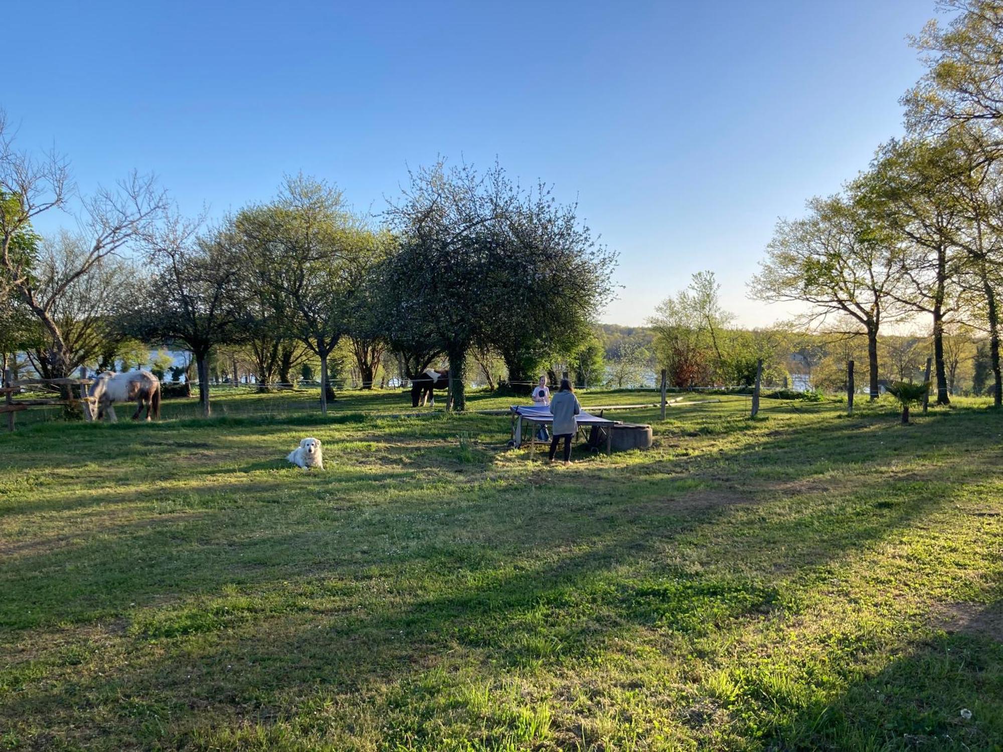 Gite A La Campagne Au Bord D'Un Lac 8 Personnes Saint-Quentin-sur-Charente المظهر الخارجي الصورة